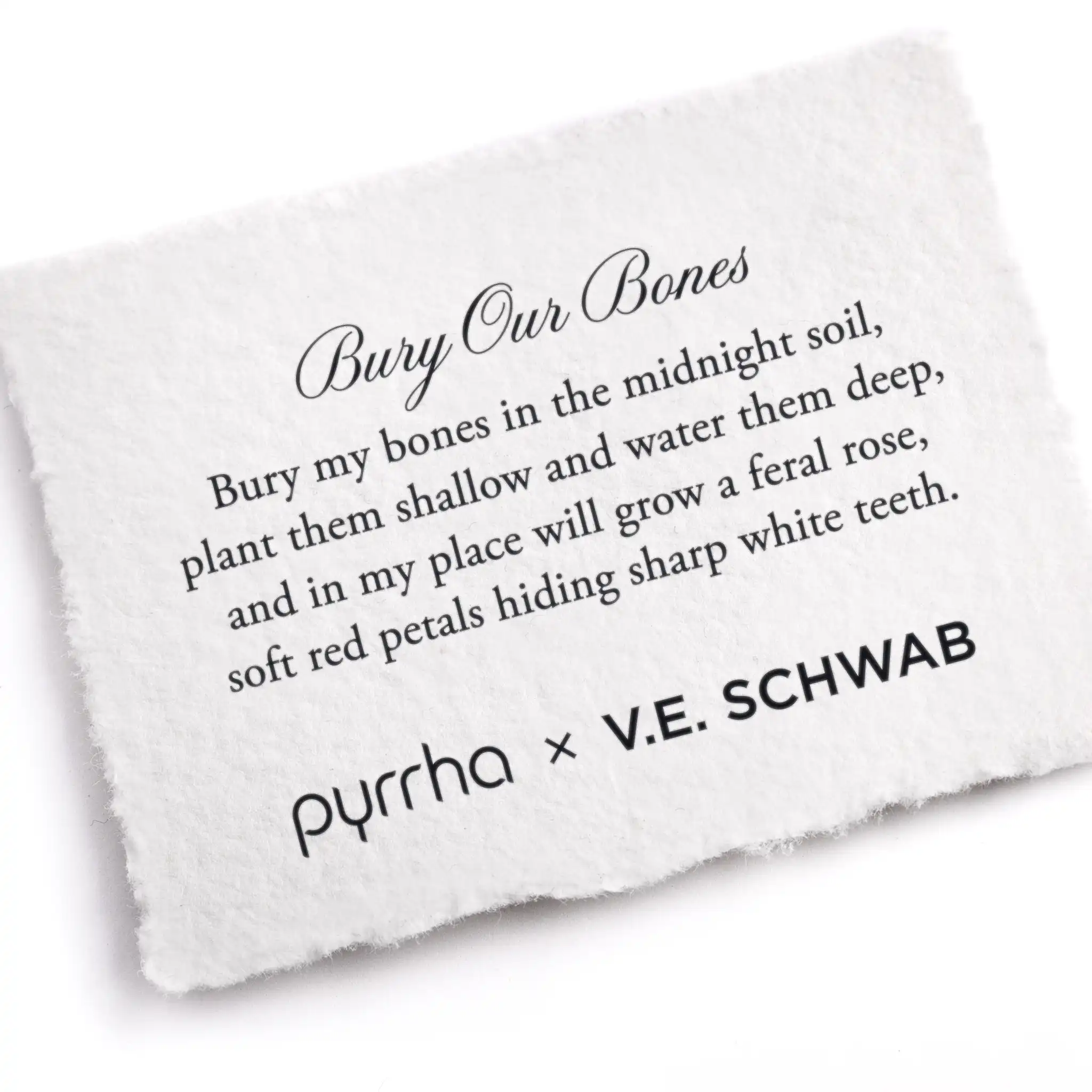 Bury Our Bones - Image 2