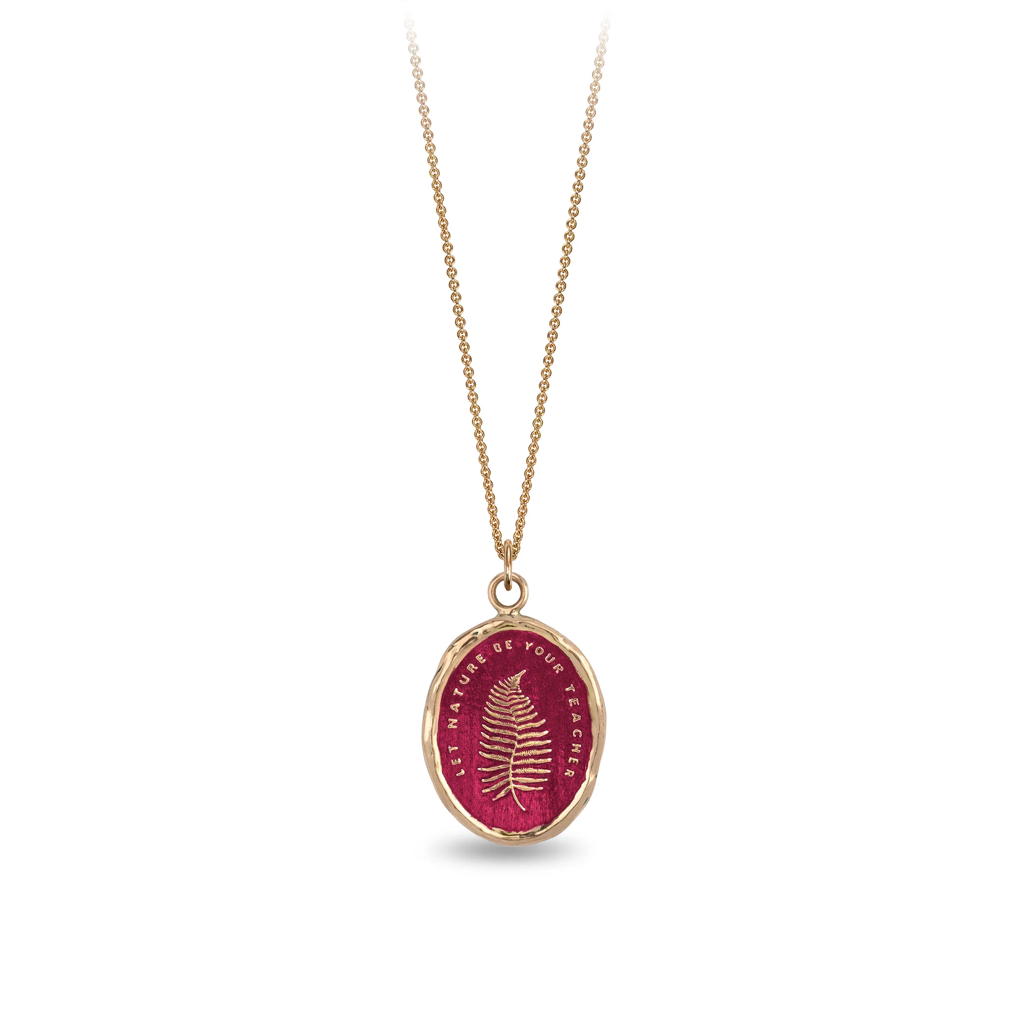 Let Nature Be Your Teacher 14K Gold Talisman - True Colors - Image 4
