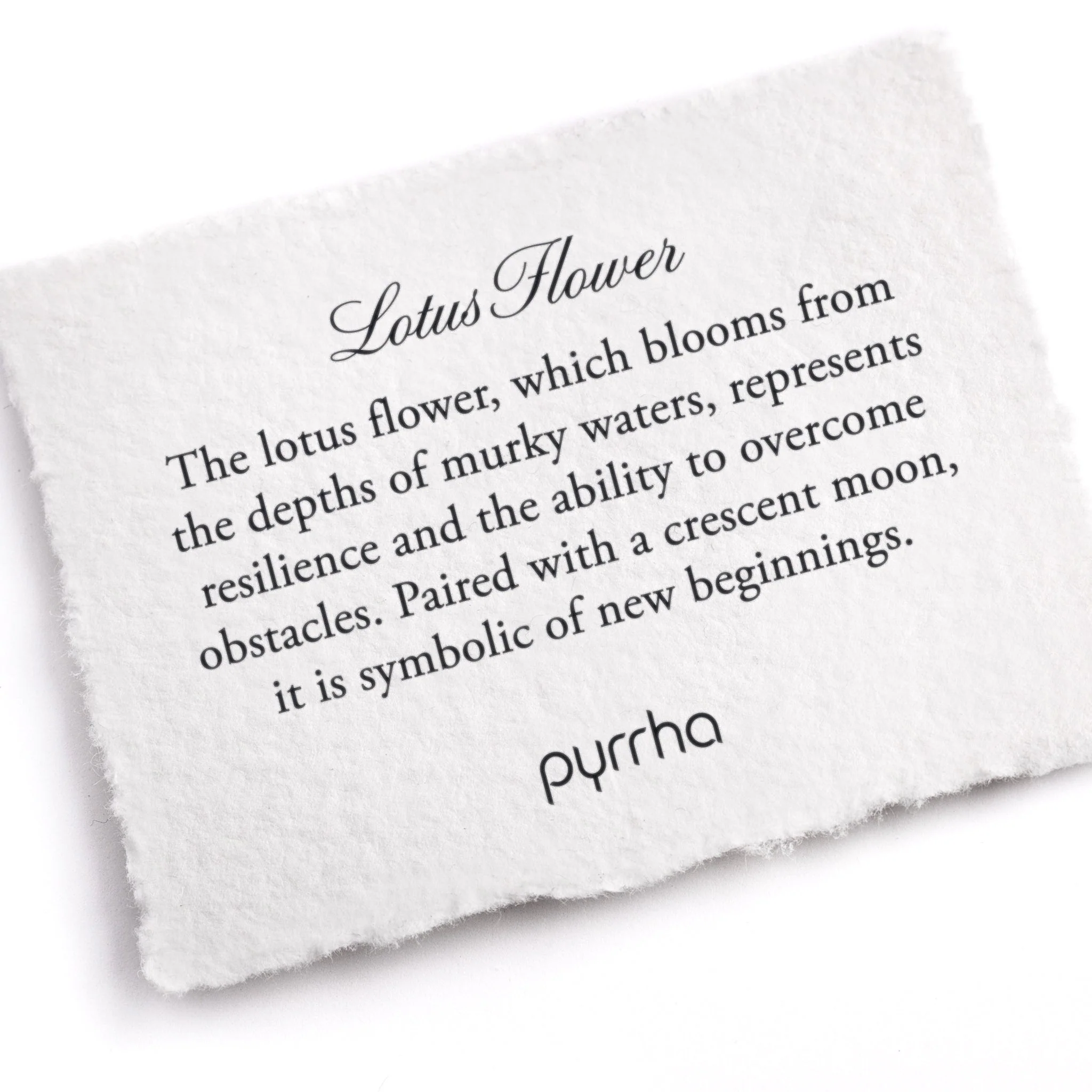 Lotus Flower - Bronze - Image 2