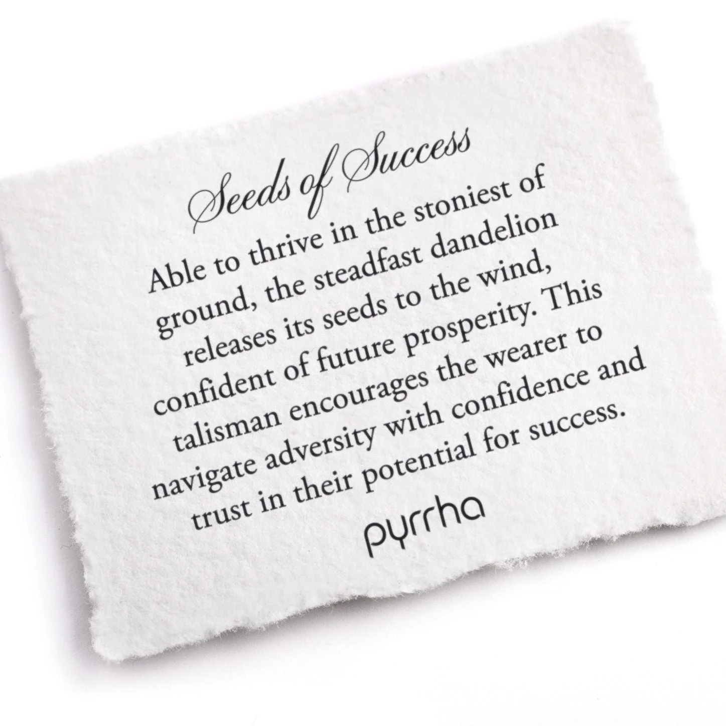 Seeds of Success - Bronze - Image 2