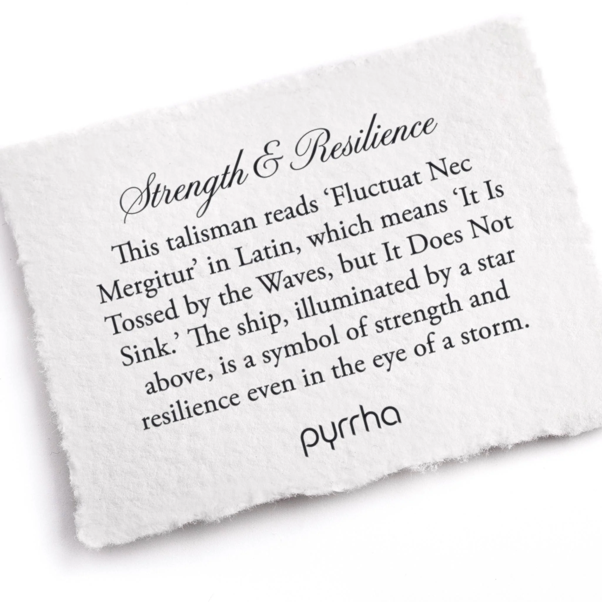 Strength & Resilience - Bronze - Image 2