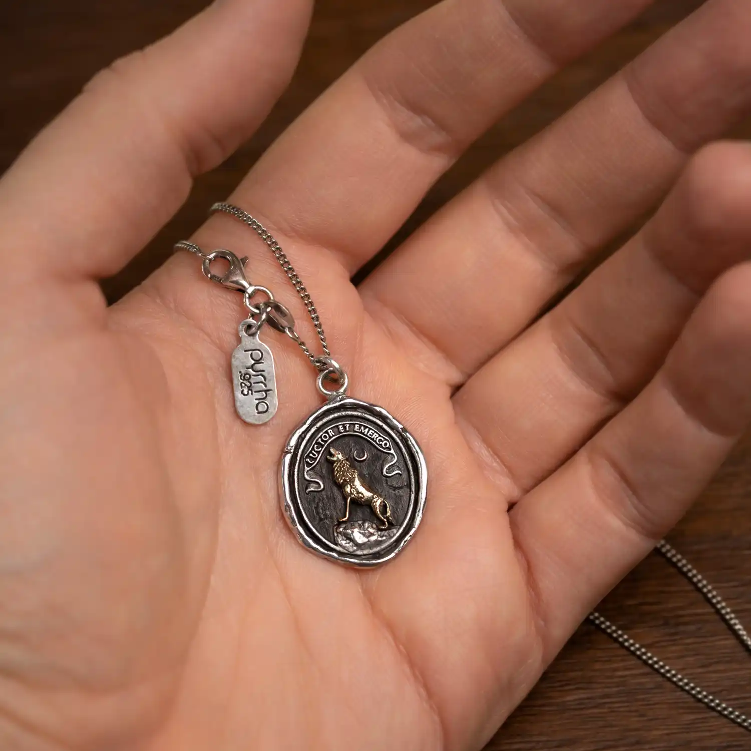 Struggle And Emerge 14K Gold on Silver Talisman - Image 3