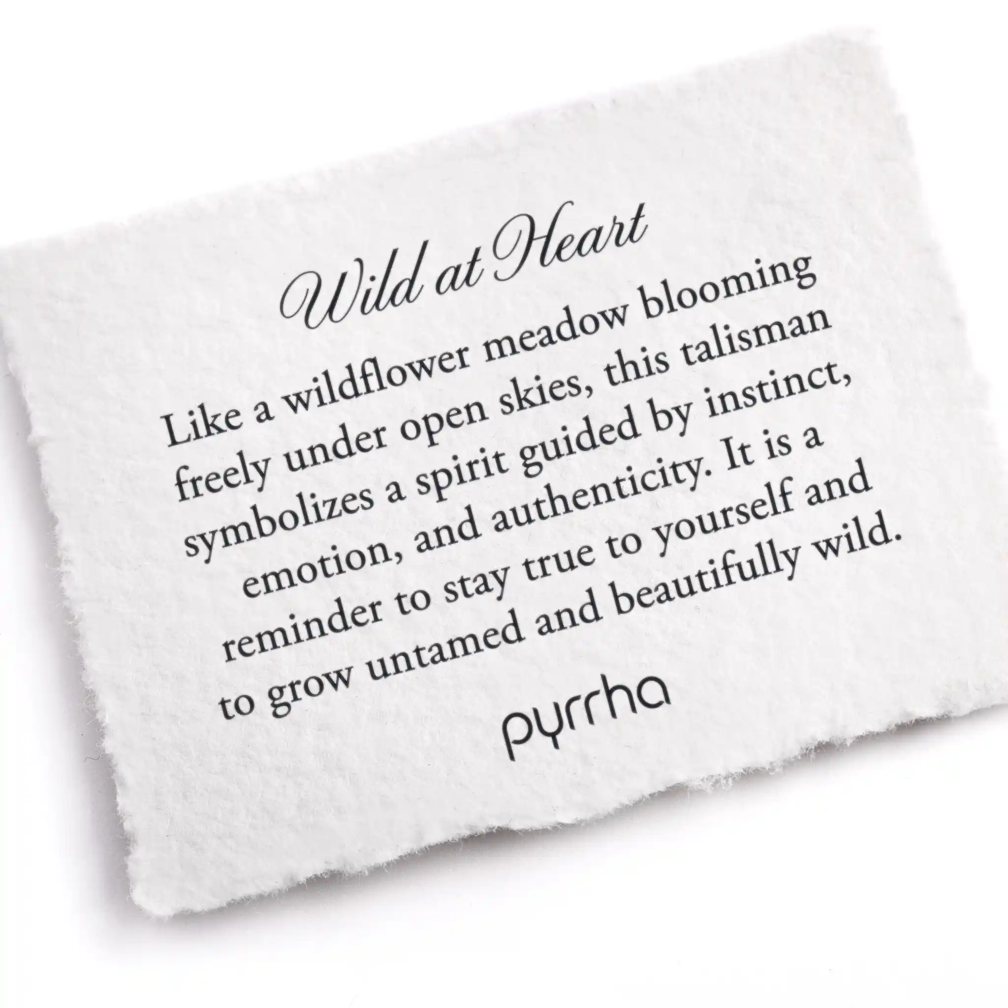 Wild at Heart - Image 2